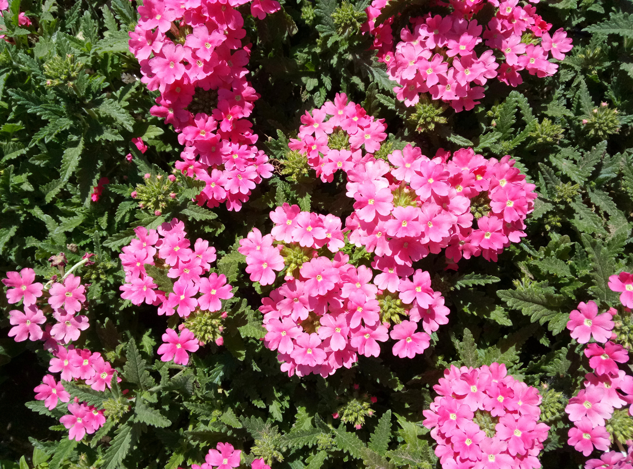 魅蓝note3参数和价格,如何评价魅蓝note3