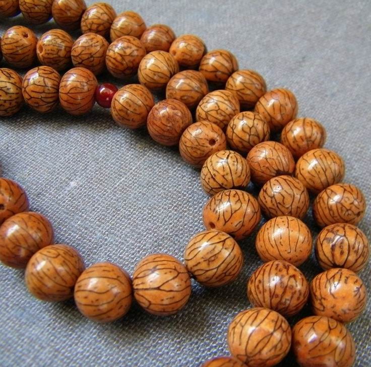 最常见的普通菩提子是哪种,菩提子种类大全图解