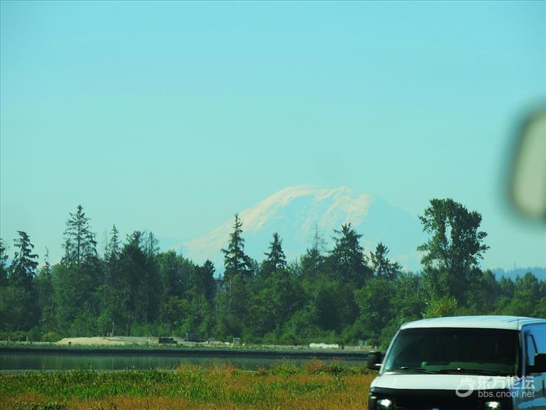 西雅图油价,西雅图油价多少钱