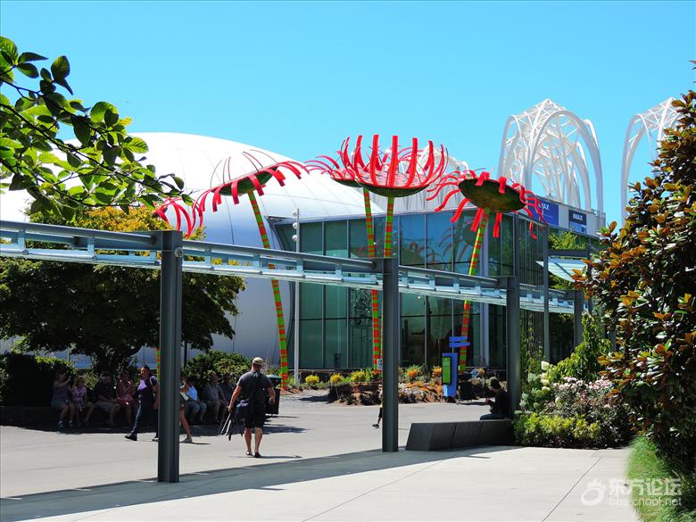 西雅图油价,西雅图油价多少钱