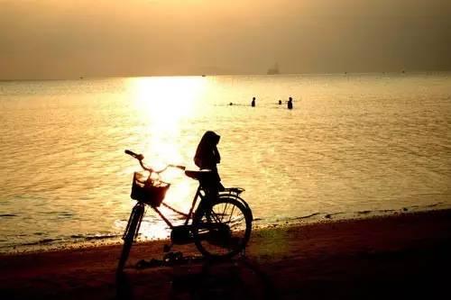 曲家瑞：我最恨你了Bob教授