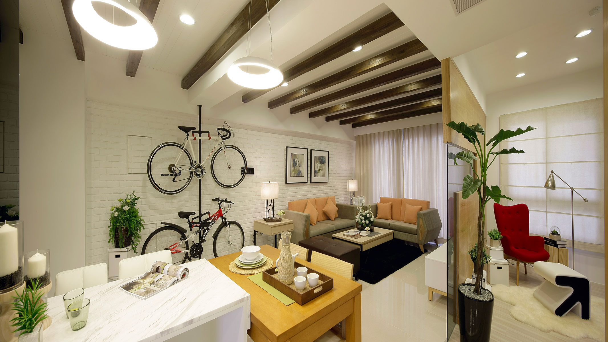 家里养的哪种花最好养最好看,春天什么花最好养又好看