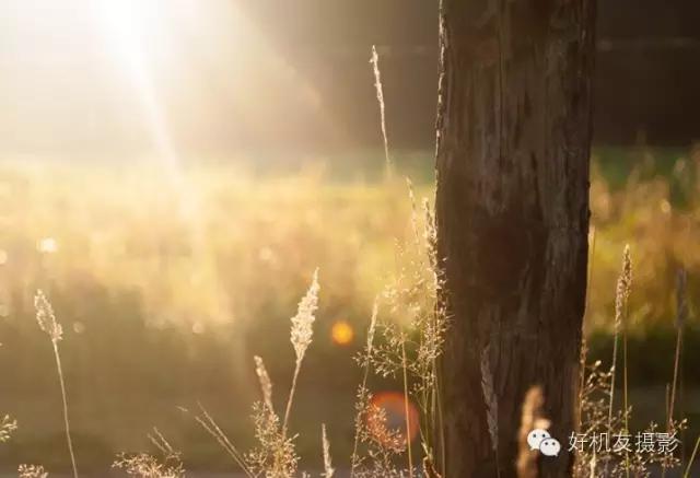 有什么办法防眩光,简单又轻松快速学会灯光