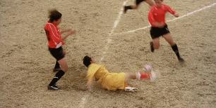 足球10大绝杀gif,少林足球gif动图