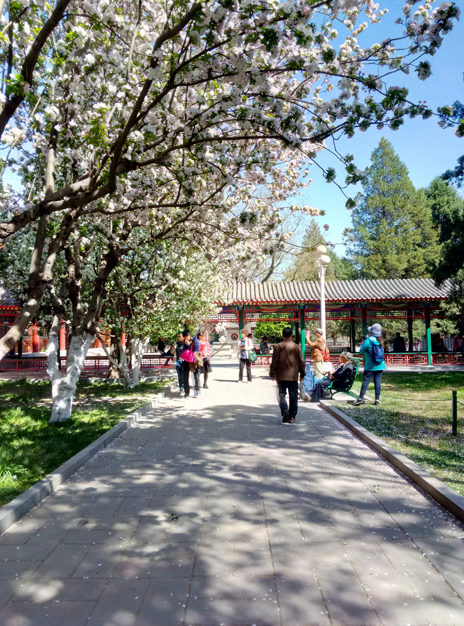 魅蓝note3参数和价格,如何评价魅蓝note3