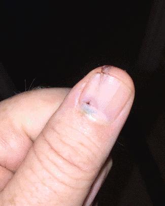 发给我学姐的搞笑图,疯狂取图搞怪图