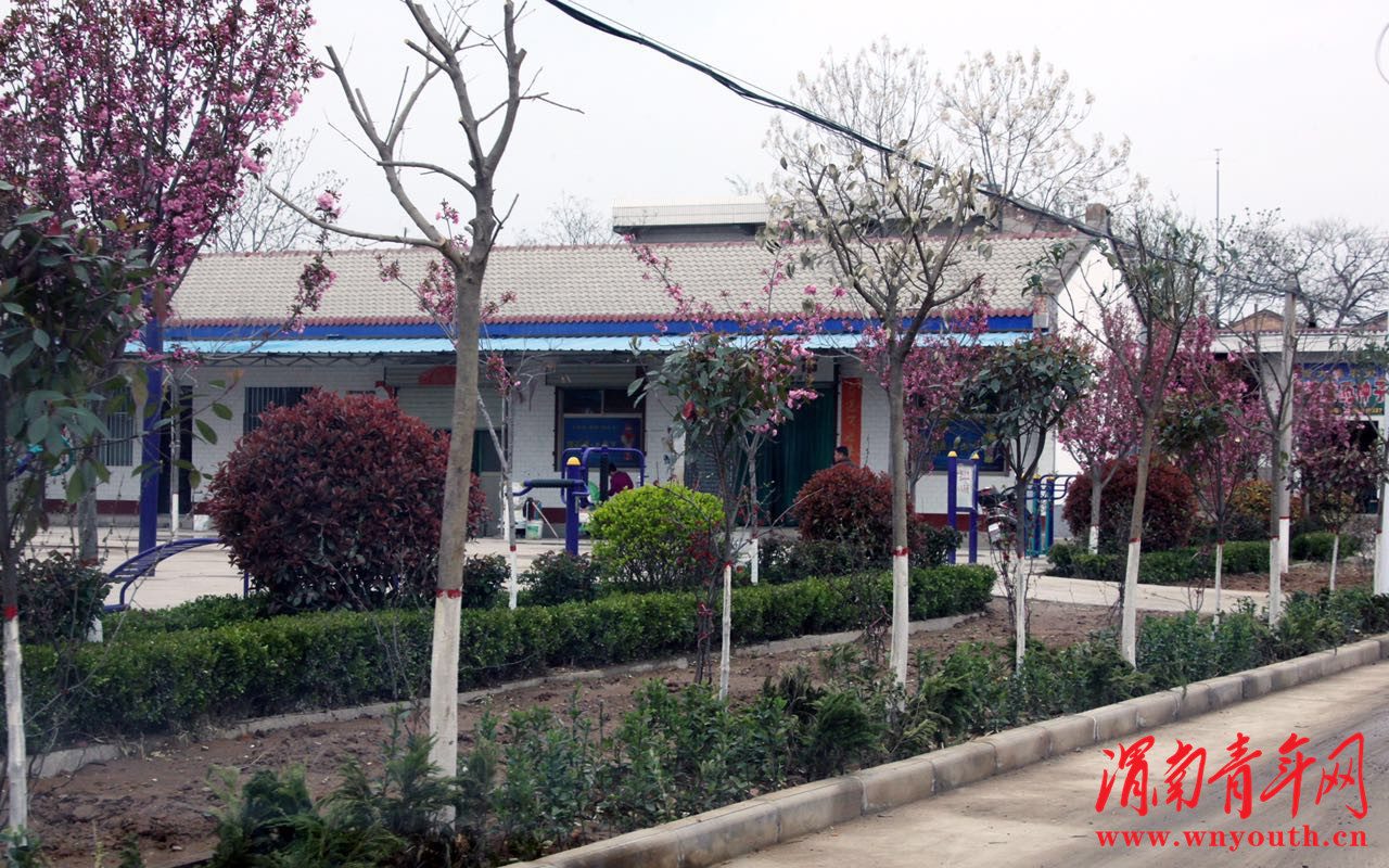 大荔县许庄镇美丽乡村,大荔县许庄镇全景图