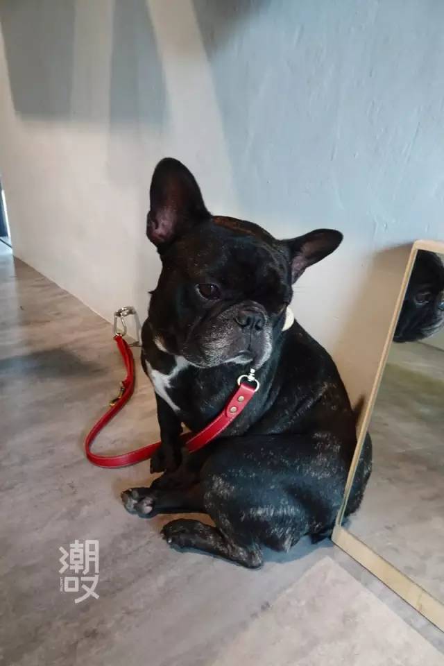 康熙来了台湾美食,台湾康熙来了十大美食