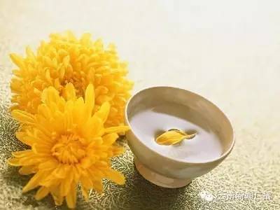 清热解毒润肺止咳生津止渴,生津润肺止咳还防感冒