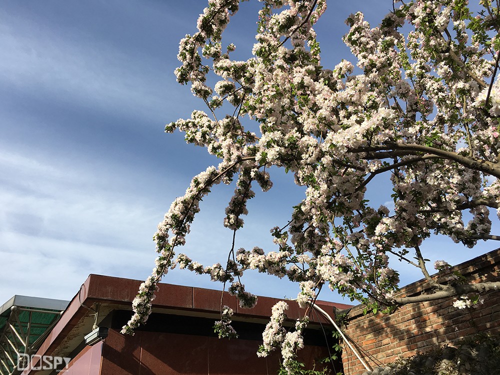 商务的外表商务的芯金立天鉴W909翻盖旗舰手机评测