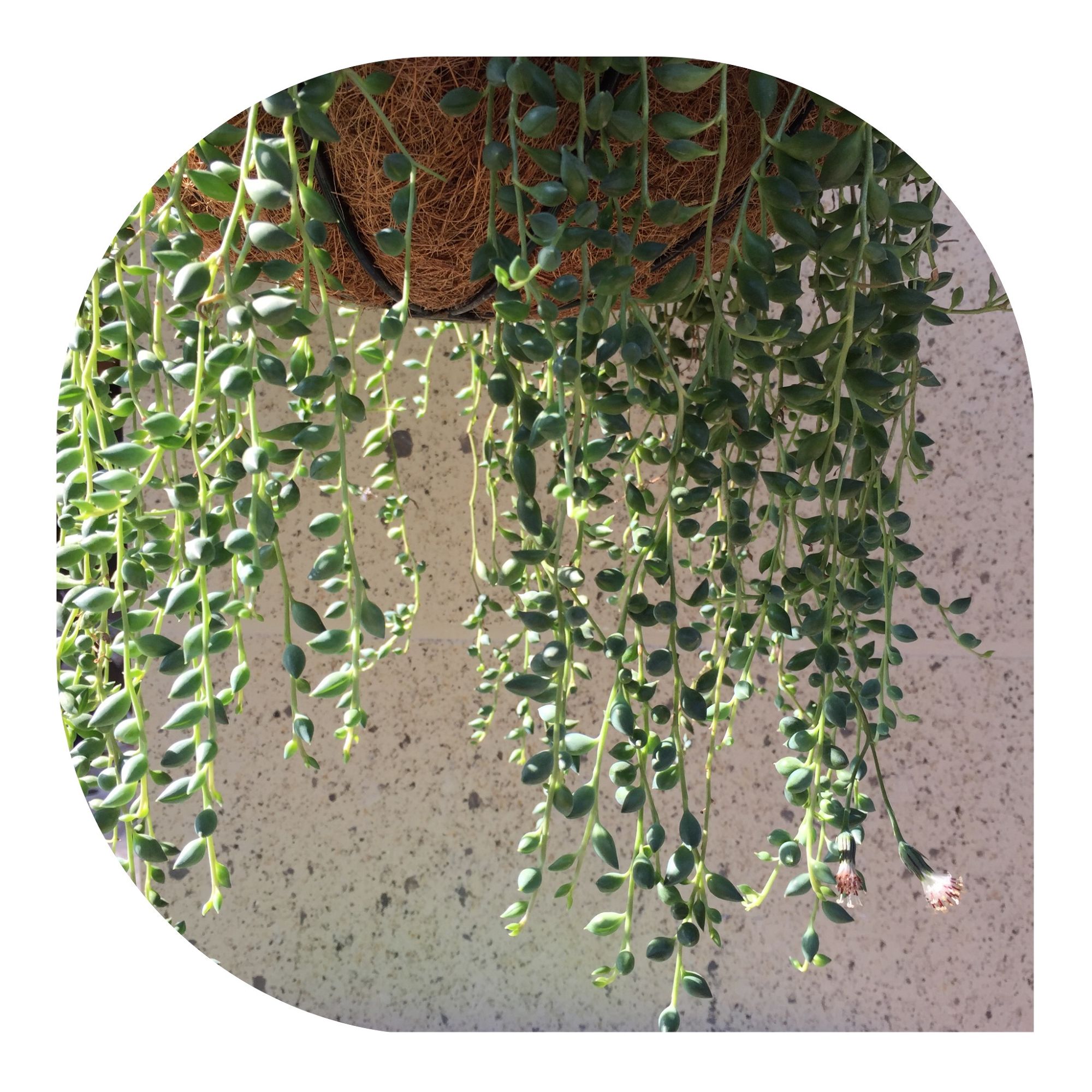 家庭工业装修风格,台式轻奢装修风格