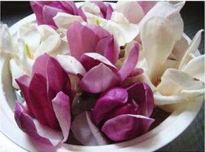 春日鲜花美食大赏,春天常见的四十种鲜花