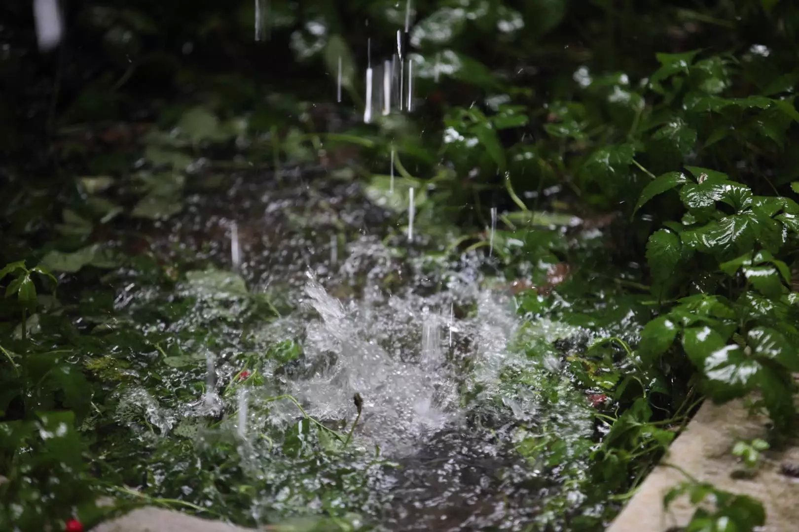 宝华山森林公园隆昌寺图片,宝华山森林公园隆昌寺