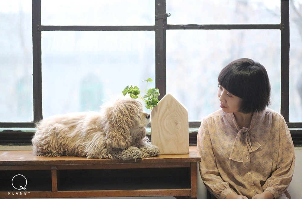 日子好货|住在“Qplanet”的小宠物