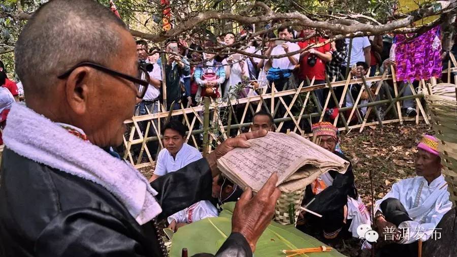 普洱四月到五月都有哪些节日,收藏寒食帖