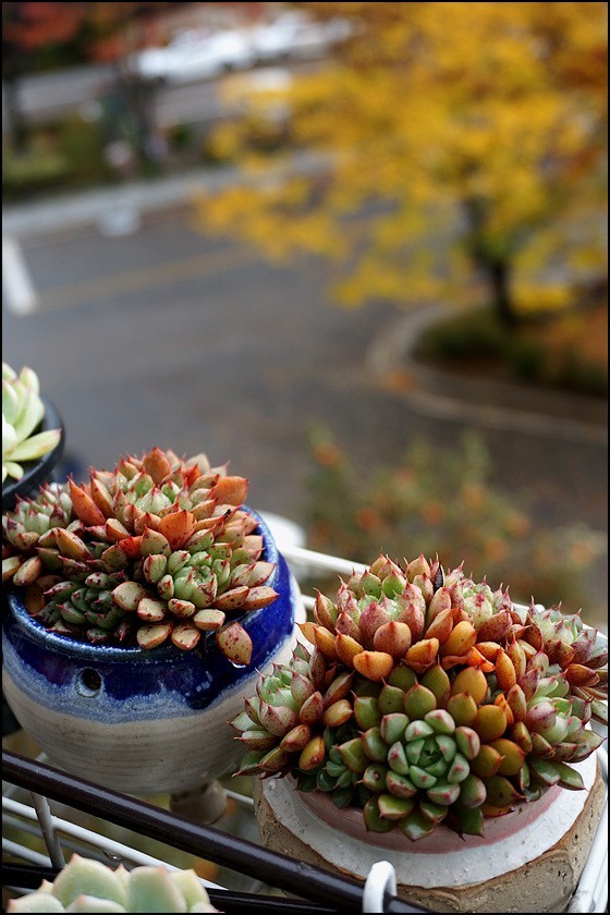 直播间不退不换的韩货,未来直播带货会持续红火吗