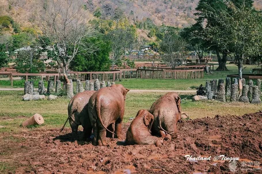 旅游攻略泰国免费,攻略带你了解最美的泰国景点