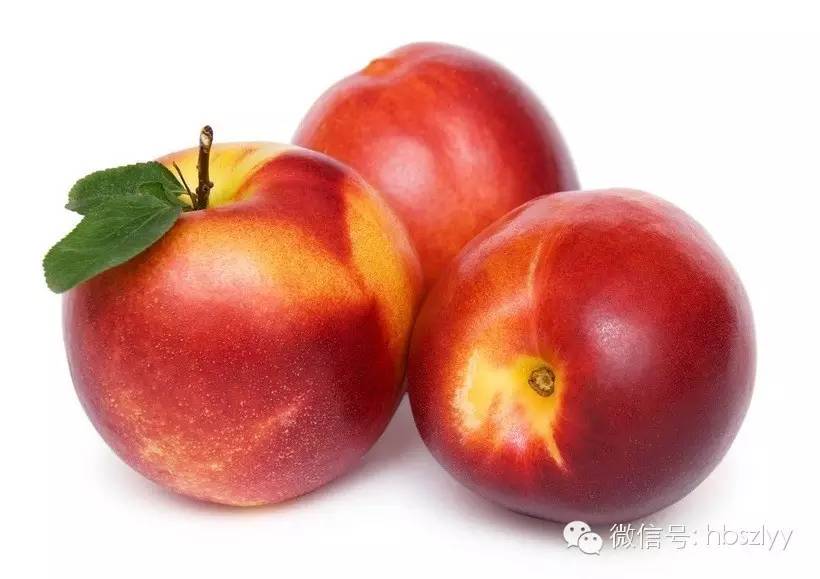 水果上午吃是金下午吃是银,早上水果是金中午水果是银