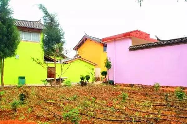 丽江惊现国内第一个彩色村!美的太不像话,像童话!