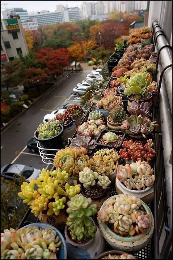 直播间不退不换的韩货,未来直播带货会持续红火吗