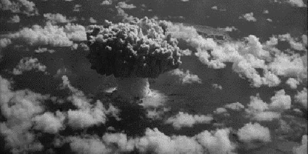 10部冷门佳片,2020冷门佳片排行榜