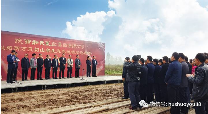 拿到3系列配方注册后，低调的它或将成为又一支“羊奶股”