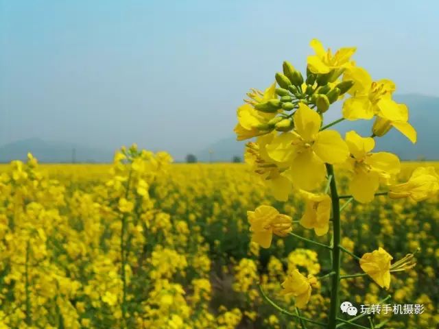 有手就会拍的构图技巧,向心式构图作品怎样拍