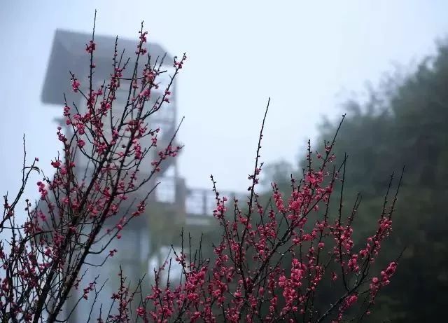 江西赣州冬天,赣州冬天周边旅游景点推荐
