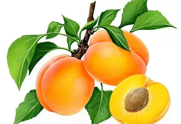 中医说｜你的蔬果护眼包已到，请查收～