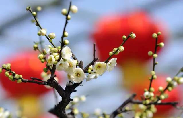 江西赣州冬天,赣州冬天周边旅游景点推荐