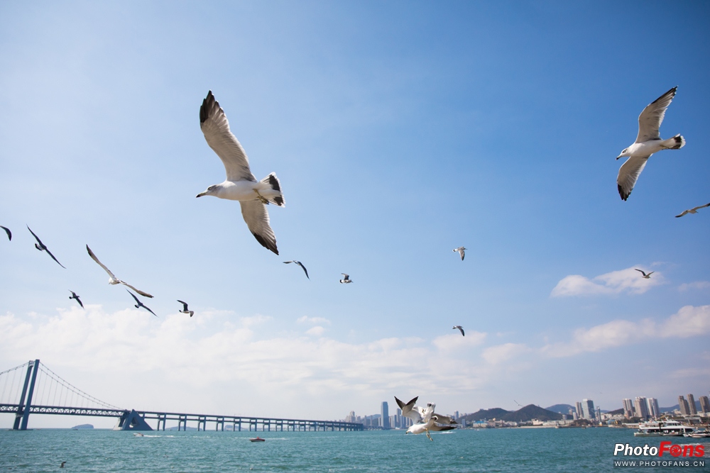 带上跑鞋去旅行,带着马去旅游的车