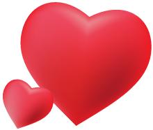 关于刺猬的问题有哪些,关于刺猬的生活常识