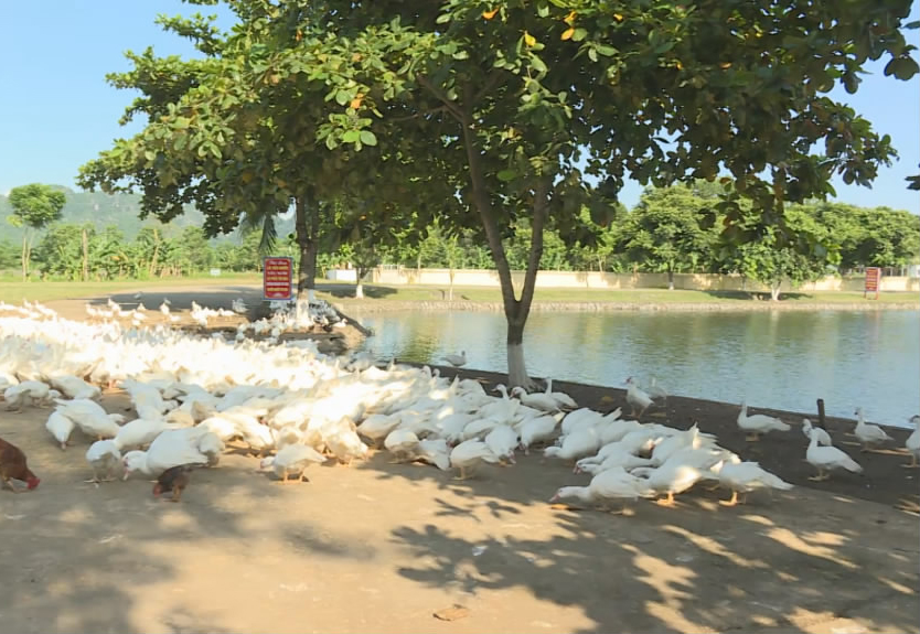 吃咋样？丰盛，健康，营养。舌尖上的保障，越南*队军**做得到，为啥