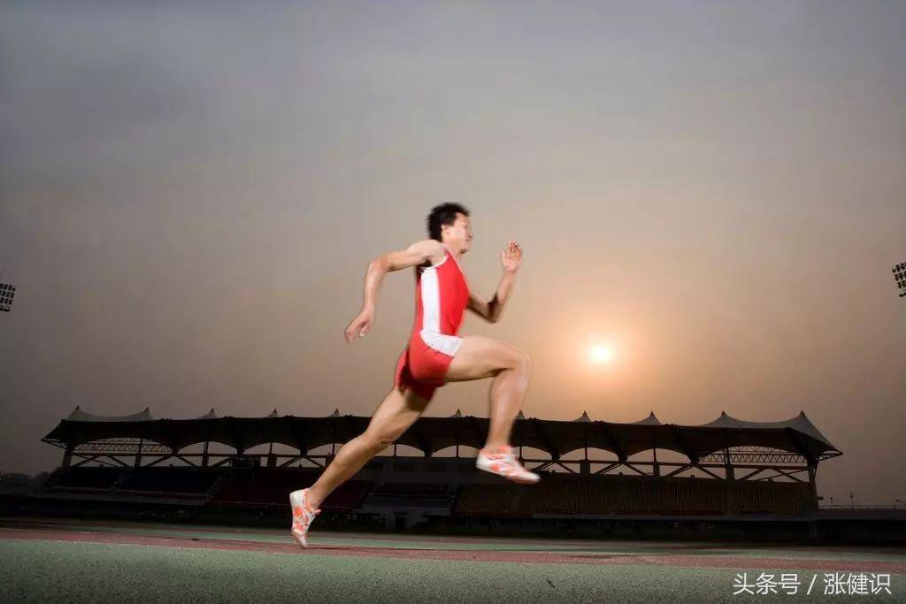 左旋肉碱对身体塑型有帮助吗,左旋肉碱的作用与功效能减肥吗