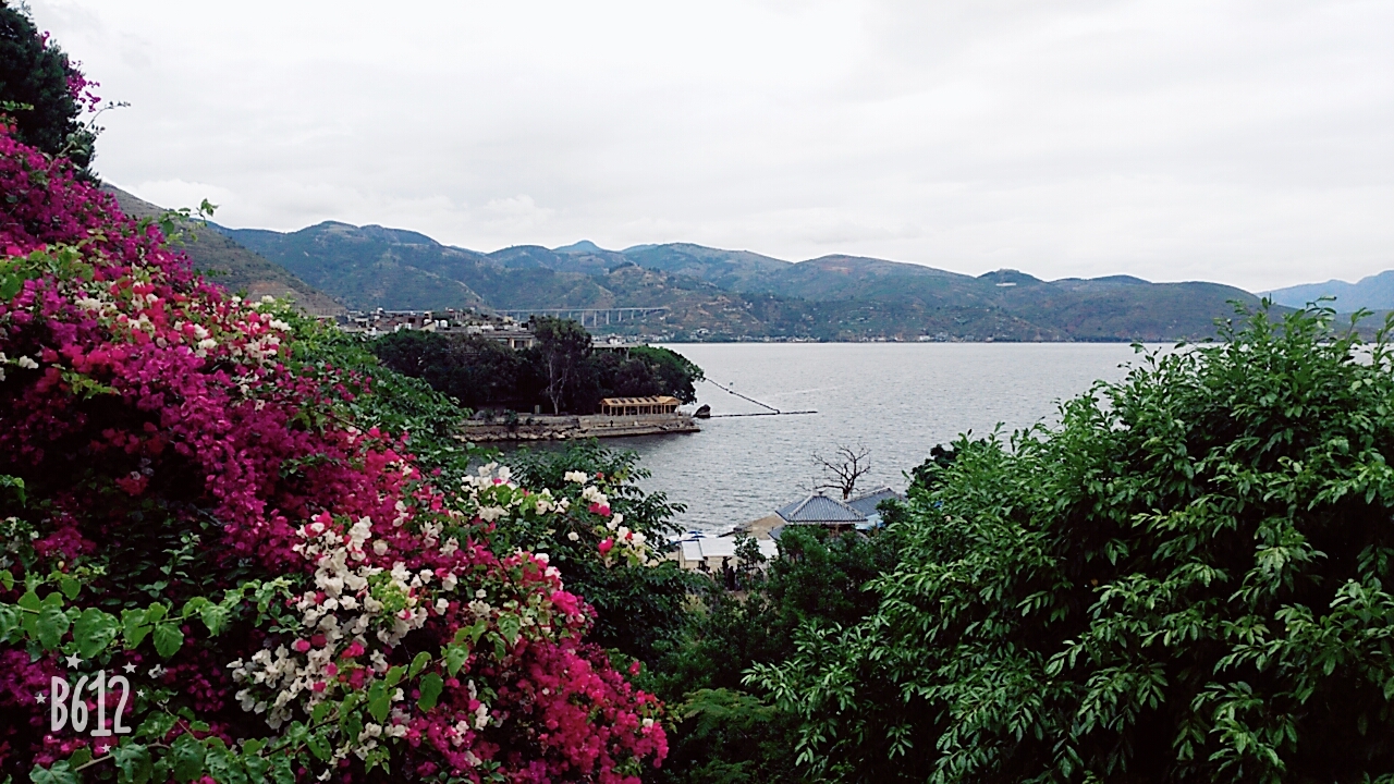 用哪个app照相好看,什么app拍旅行照好看