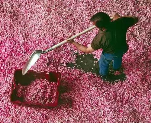 小众香水格拉斯风情,法国格拉斯香水博物馆