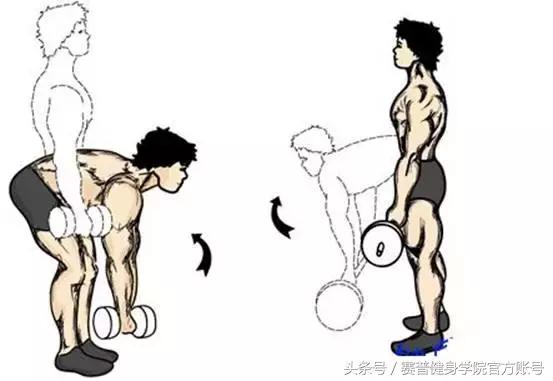 家庭哑铃训练动作大全全身,哑铃全身肌肉训练动作