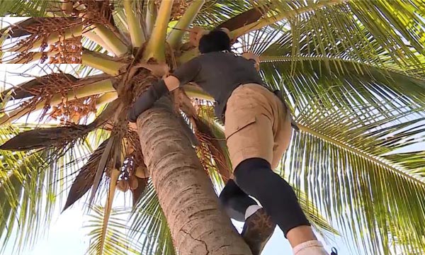 帕劳旅游攻略必去的景点,帕劳旅游攻略2015