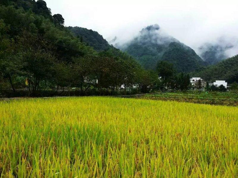 手拍世界投稿,手拍世界手机摄影平台