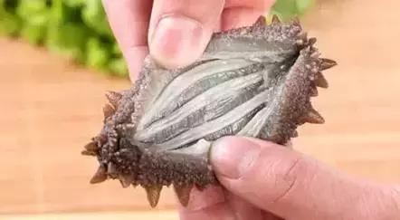 经常吃海参的人一定要看完视频,经常吃海参的人还有得癌症的吗