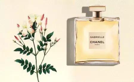 cosme大赏2017获奖单品,cosme殿堂大赏2020