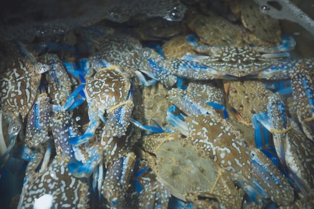 带上父母去看海完整视频,带你去三亚一起看海享受亲子时光