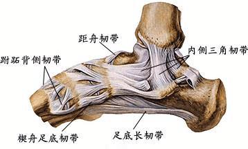 中国足球新星姜至鹏,姜至鹏简介足球运动员