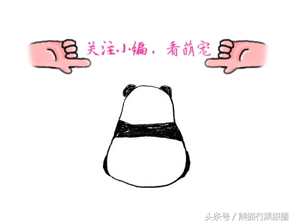 不掉毛的宠物犬,哪种宠物犬不掉毛无体臭