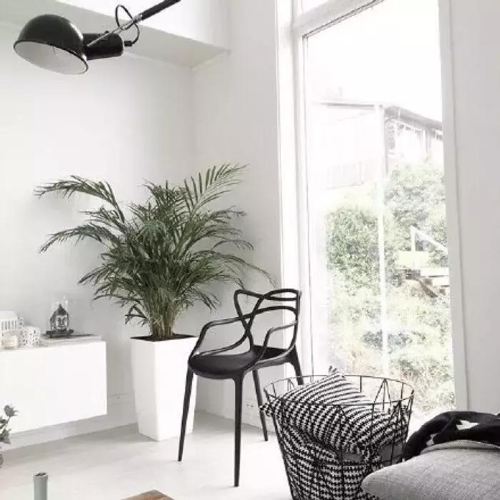 房子采光不好怎么办,房子采光不好怎么设计