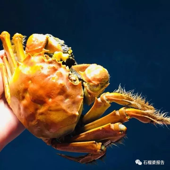 一天能赚5万元的兼职,一个月赚5千的兼职