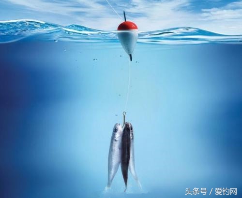 钓鱼老技巧,钓鱼的技巧和经验视频