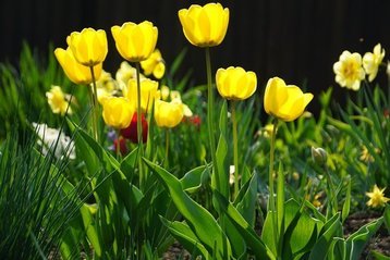 四柱八字之间的作用关系,四柱八字口诀