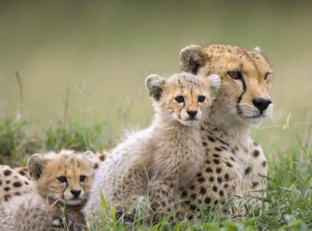 风光摄影什么焦段实用,摄影焦段有哪些参数的设置