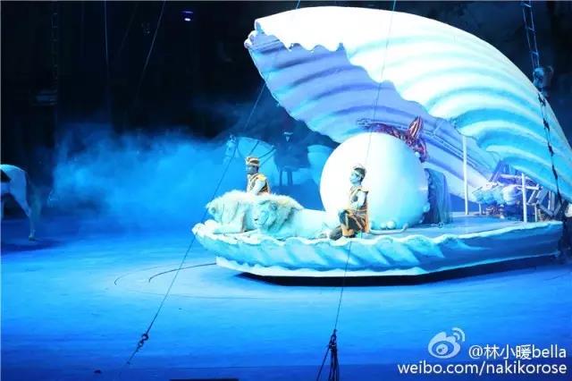 两大一小广州长隆亲子游攻略,最新广州长隆带娃游玩攻略2天